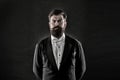 Classic never out of trend. Menswear classic outfit. Bearded man with bow tie. Well dressed and scrupulously neat Royalty Free Stock Photo