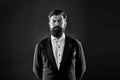 Classic never out of trend. Menswear classic outfit. Bearded man with bow tie. Well dressed and scrupulously neat Royalty Free Stock Photo