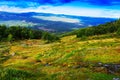 Classic Norway mountain forest landscape background