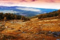 Classic Norway mountain forest landscape background