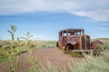 Classic Old Car decays in a meadow.