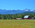 CLASSIC OLD RED BARN IN A MONTANA MEADOW Royalty Free Stock Photo