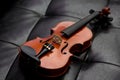 Classic old violin vintage Royalty Free Stock Photo