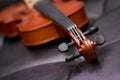 Classic old violin vintage Royalty Free Stock Photo