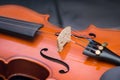 Classic old violin vintage Royalty Free Stock Photo