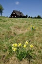 Classic old wooden cottage