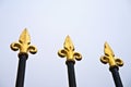 Antique ornamental spikes fence poles with golden edges Royalty Free Stock Photo