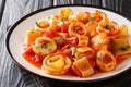Classic Pasta Calamarata with squid sauce Italian Recipe close-up in a plate. Horizontal