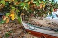 Classic Philippine Fishing BoatClassic Philippine fishing boat on the background of the sea landscape Royalty Free Stock Photo