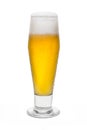 Classic Pilsner Beer with Condensation, with Foam Head 1 Royalty Free Stock Photo