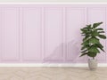 Classic pink wall with wood floor