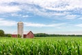 Classic Red Barn in a Corn Field Royalty Free Stock Photo