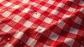 Classic red checkered tablecloth vector illustration, element, plaid, design Royalty Free Stock Photo