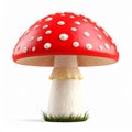 Classic Red and White Toadstool Mushroom Growing on Small Patch of Grass in Studio Lighting Royalty Free Stock Photo