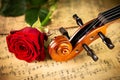 Classic retro violin music string instrumt on old music note sheet paper with red rose flower old oak wood wooden background.