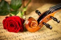 Classic retro violin music string instrumt on old music note sheet paper with red rose flower old oak wood wooden background. Royalty Free Stock Photo