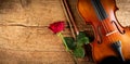 Classic retro violin music string instrumt with red rose flower old oak wood wooden wide panorama background. classical musical