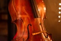 Classic retro violoncello close-up. Cello