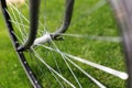 Classic road bicycle close-up photo in the summer green grass meadow field. Travel background Royalty Free Stock Photo