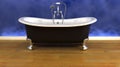 Classic roll top bath Royalty Free Stock Photo