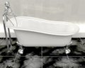 Classic roll top bath Royalty Free Stock Photo