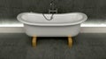 Classic roll top bath Royalty Free Stock Photo