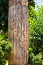 Classic Roman columns in the garden. A picturesque alley with antique decorations. The architecture of ancient Rome Royalty Free Stock Photo