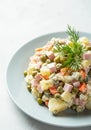 Classic Russian Olivier salad with ham and vegetables on white plate Royalty Free Stock Photo