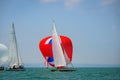 Classic sailing boats racing at a regatta at lake constance