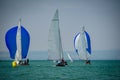 Classic sailing boats racing at a regatta at lake constance