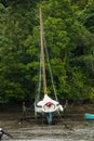 Classic Sailing Yacht in muddy creek