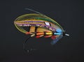 Classic Salmon Fly Royalty Free Stock Photo