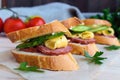 Classic sandwich with sausage and cheese on white baguette. Breakfast Royalty Free Stock Photo