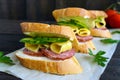 Classic sandwich with sausage and cheese on white baguette Royalty Free Stock Photo