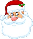 Classic Santa Claus Face Portrait Cartoon Character Smiling