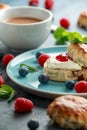 Classic scones with clotted cream, strawberries jam, english Tea and other fruit Royalty Free Stock Photo