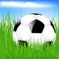 Classic Soccer Ball In Grass