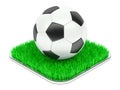 Classic soccer ball on grass section Royalty Free Stock Photo