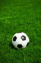 Classic soccer ball lying in the grass, it is a sunny day in summer Royalty Free Stock Photo