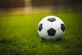 Classic soccer ball in sunset  with typical black and white pattern, placed on stadium turf. Traditional football ball on the Royalty Free Stock Photo