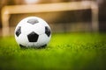 Classic soccer ball in sunset  with typical black and white pattern, placed on stadium turf. Traditional football ball on the Royalty Free Stock Photo