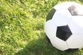 Classic soccer ball, typical black and white pattern, placed on the free kick spot of the stadium turf. Traditional Royalty Free Stock Photo