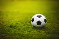 Classic soccer ball, typical black and white pattern, placed on the white marking line of the stadium turf in a rainy day. Royalty Free Stock Photo