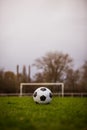 Classic soccer ball  with typical black and white pattern, placed on stadium turf. Traditional football ball on the green grass Royalty Free Stock Photo