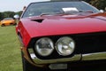 Classic sports car twin headlamps