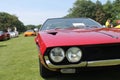 Classic sports car twin headlamps