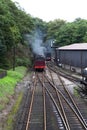 A classic steam train for tourists