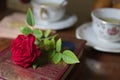 Classic still life of cups with English style and a flower on an antique book Royalty Free Stock Photo