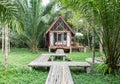 Classic Style Wooden House in The Cottage with The Wooden Path in front of The House surrounded by Nature View Various Trees