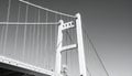 Classic Suspension Bridge Architecture in Monochrome Royalty Free Stock Photo